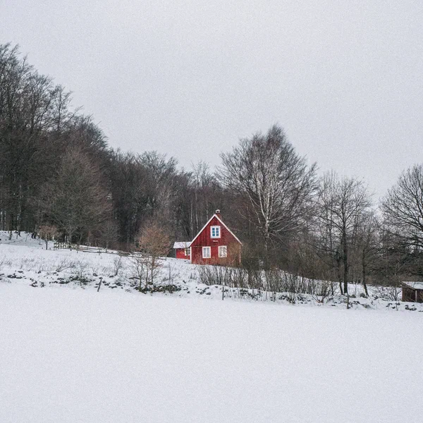 Little Red House