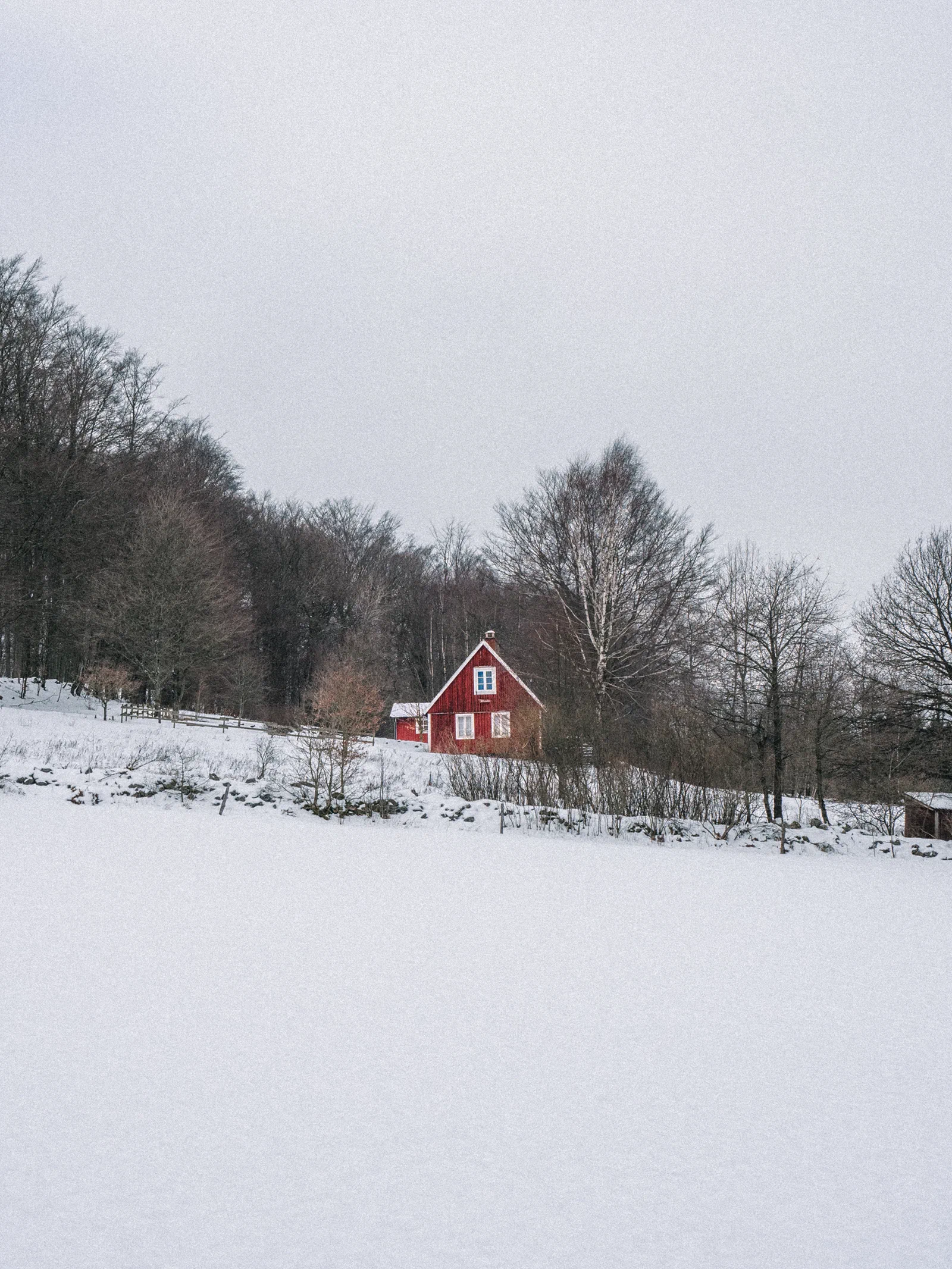 Little Red House
