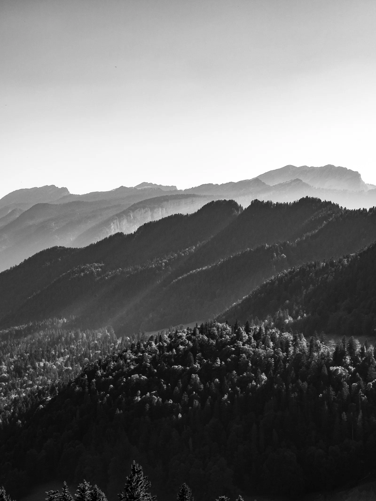 Mountain In Black And White